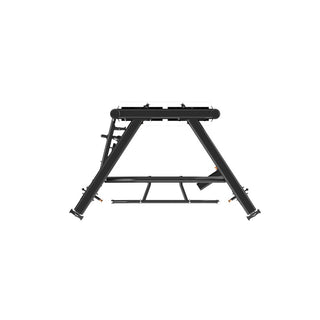 Dual Adjustable Pulley Pro