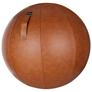 Leather Gym Ball Cover